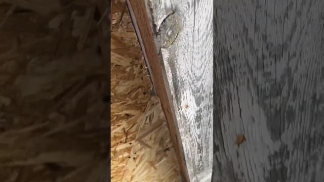 Обшивка фасада до и после ( процесс) смотреть онлайн