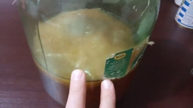 Как правильно ухаживать за чайным грибом смотреть онлайн