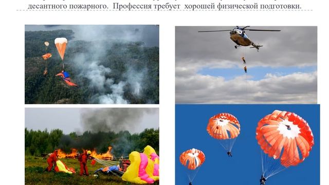 Мастер класс Лесное и лесопарковое хозяйство смотреть онлайн