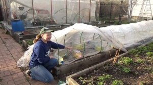 Как приготовить грядку для огурцов? Теплая грядка для огурцов.