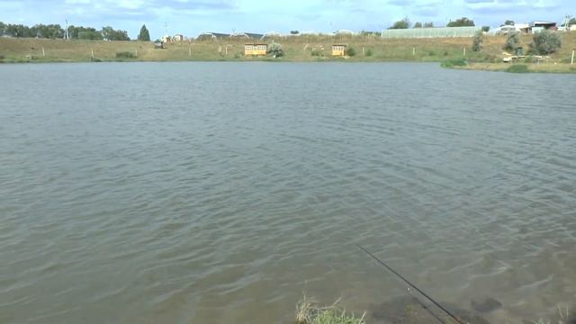 Рыбалка на карпа в Крыму. Зачетный клев. Скифская деревня (Вилино) смотреть онлайн