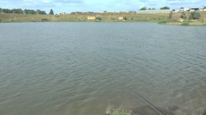 Рыбалка на карпа в Крыму. Зачетный клев. Скифская деревня (Вилино)