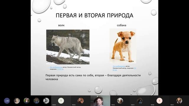 Лекция Учение о бытии и материи смотреть онлайн