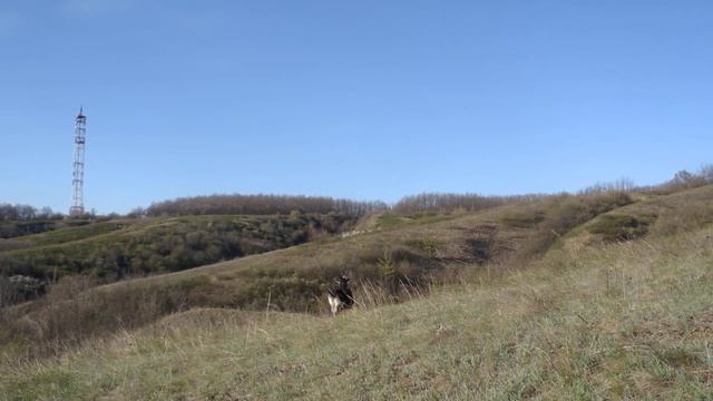 Грибной бизнес в Беловодске смотреть онлайн