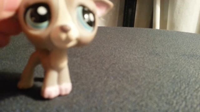 Ваши пожелания и вопросы смотреть онлайн