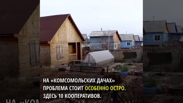 В дачных кооперативах стало больше брошенных собак Ноябрь, 2018. Братск смотреть онлайн