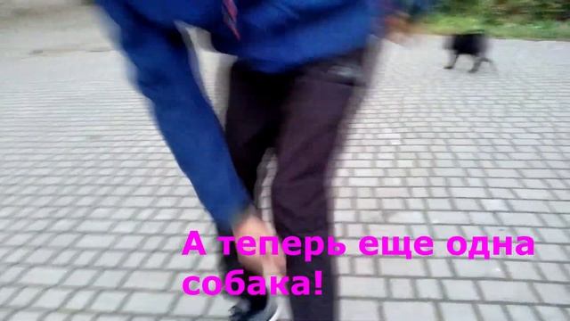 Немного о первом лете Никуши. Все ново и интересно! смотреть онлайн