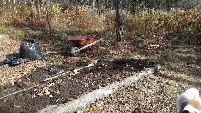 Building a Homestead From Scratch - EP3: Garlic Beds and Shed Framing смотреть онлайн