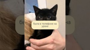 танцуй тренд если ты..     версия :школа #тренды #школа #подпишись