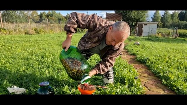 Пьяная вишня смотреть онлайн