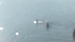 Г . КАЛАЧ НА ДОНУ.