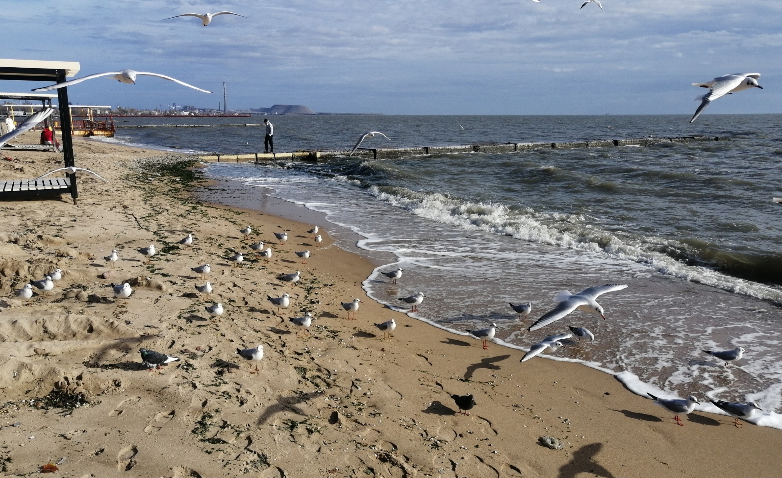 "В МИРНОМ МАРИУПОЛЕ"... (Фото Вл. Диденко (Мариуполь), музыка - Джеймс Ласт и Бердьен Стенберг)