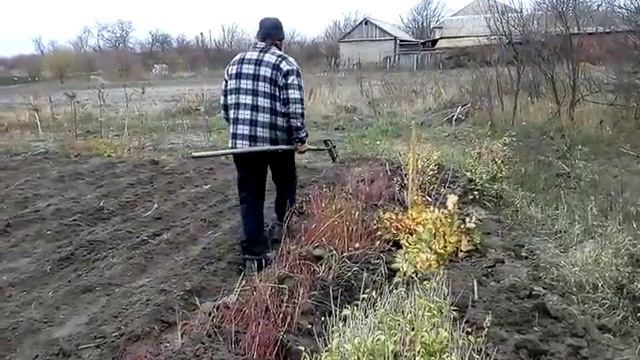 В питомнике 3 смотреть онлайн