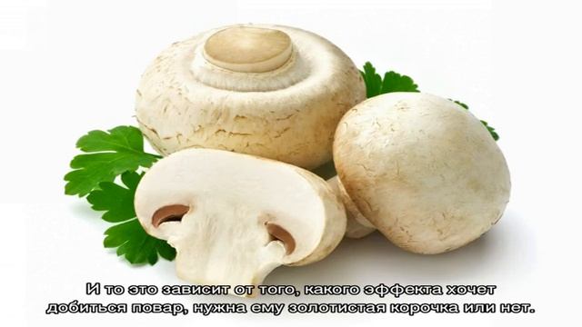 Шампиньоны на сковороде - 183 домашних вкусных рецепта приготовления смотреть онлайн