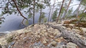 Сегозеро,хариус,форель.