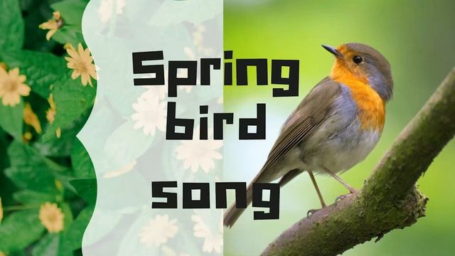 ☀ ♥ Чудесная песня, пение весенних птиц УСПОКОИВАЕТ, дарит радость, ЗВУКИ ПРИРОДЫ усыпляют ☀♥