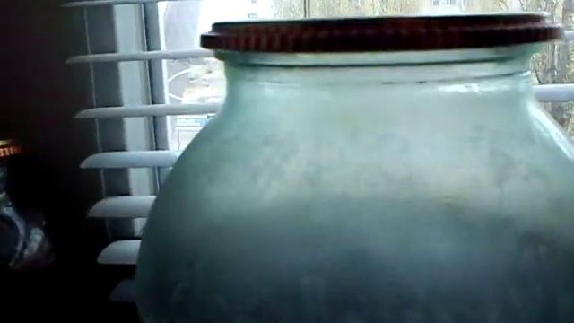 Принцесса Бурунди. #11 до появления мальков осталось 5 дней смотреть онлайн