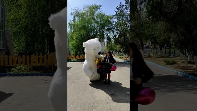 Растрогали до слез таким поздавлением..!Поздравление от белого медведя смотреть онлайн