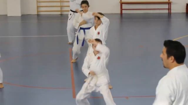 Trailer della Scuola di Karate Heijo Shin Dojo смотреть онлайн