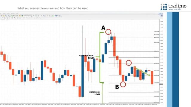 How to trade with Fibonacci levels смотреть онлайн