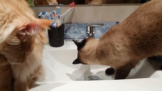 Я на работу опаздываю а им всё равно ?? смотреть онлайн