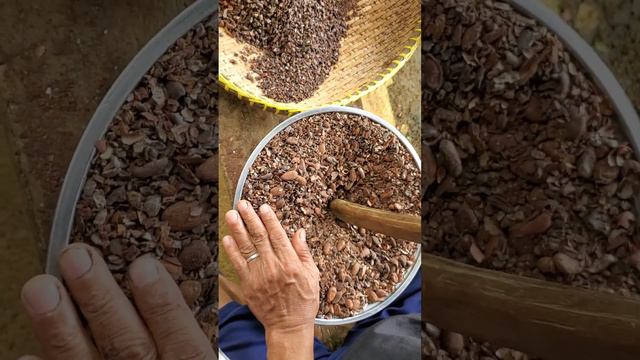 CHOCOLATE RAW MATERIALS(KAKAW) | AKISH RIDERS смотреть онлайн