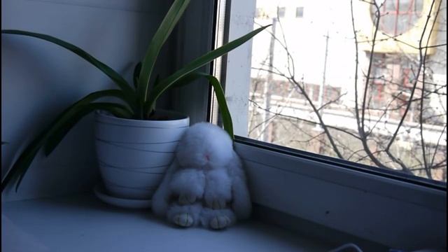 Ставим натюрморт дома смотреть онлайн