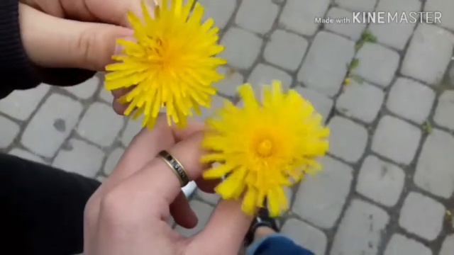 |Я хочу тебе кое-что сказать| смотреть онлайн