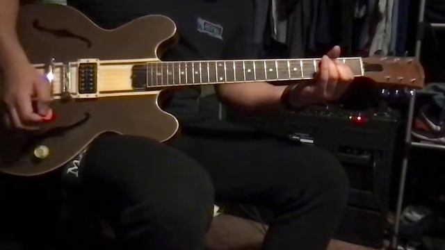 Tom DeLonge ES-333 Demo смотреть онлайн