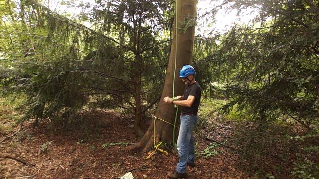 Single Rope Tree Climbing Techniques  SRT