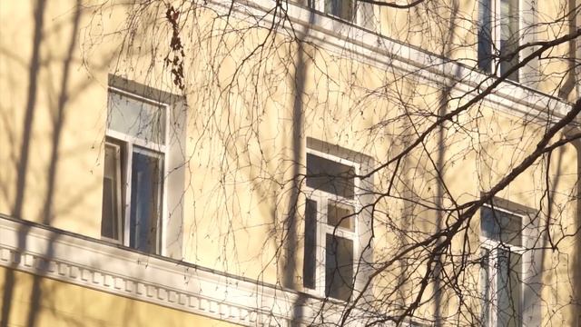 Евгений Куйвашев внёс предложение о новых возможностях использования регионального маткапитала смотреть онлайн