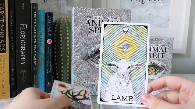 Wild Unknown Animal Spirit Oracle | Flip Through смотреть онлайн