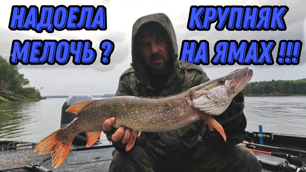 НАДОЕЛА МЕЛОЧЬ ? КРУПНЯК НА ЯМАХ !!! Рыбалка на Оби 9 августа 2024г. смотреть онлайн