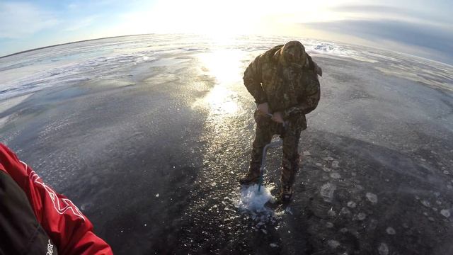 Рыбалка на Окуня. Чудское озеро. Крупный Окунь на озере есть. смотреть онлайн