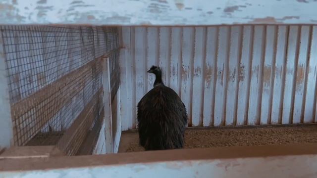 VLOG: ЗАКАДРОВАЯ ЖИЗНЬ ЭКСТРЕМАЛЬНЫХ ПЕРЕПИСОК смотреть онлайн