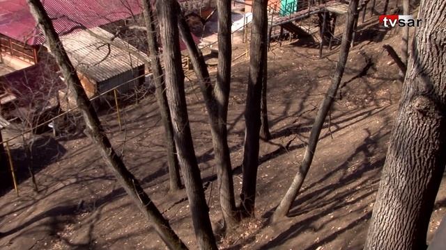 Оползень в Саратове может уничтожить два дачных поселка смотреть онлайн