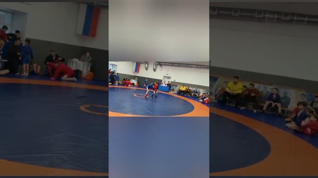 праздник Хэллоуина. И моё самбо смотреть онлайн