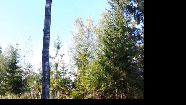 Купить участок рядом с СПб, Заозерное - Медное Озеро 3 Карельский перешеек, в элитном месте смотреть онлайн