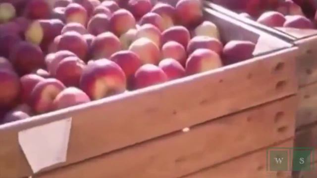 Россияне работают больше европейцев смотреть онлайн