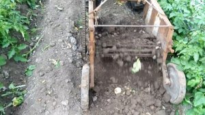 Копка картофеля самодельной копалкой тяжелым мотоблоком.