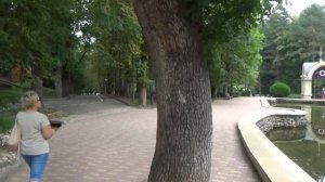 Кисловодск-отдых.Номер в гостевом доме и немного видов города...