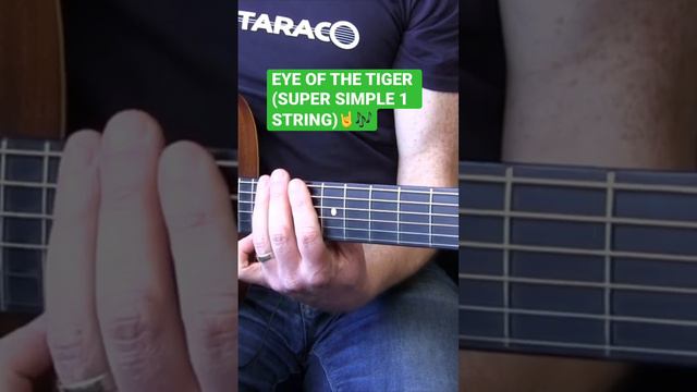 EYE OF THE TIGER (SUPER SIMPLE) played on 1 string acoustic guitar. #classicrock #guitarriff #rocky смотреть онлайн