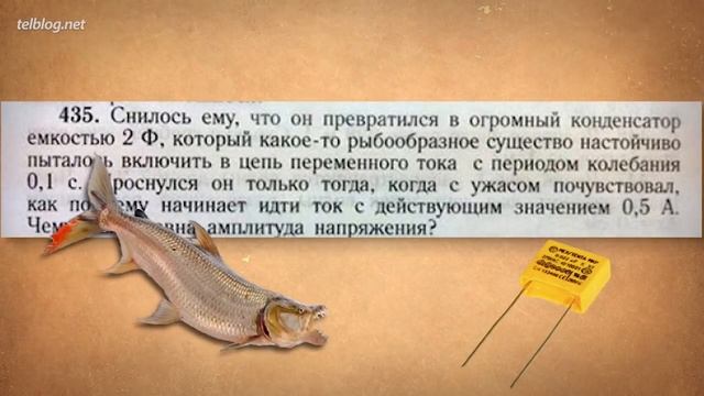 ТУПОРЫЛЫЕ Задания Из Учебников! #2 смотреть онлайн