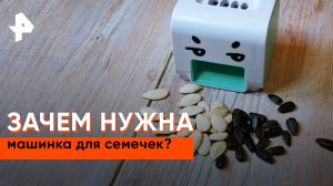Зачем нужна машинка для семечек? — Самая полезная программа