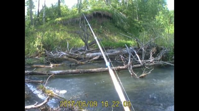 поклевки ХАРИУСА (приток реки УРЮП) смотреть онлайн