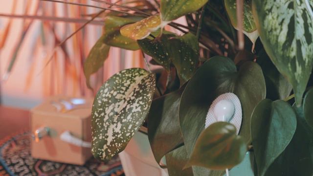 Korgu Chideh | Eurorack Modular Synthesizer смотреть онлайн