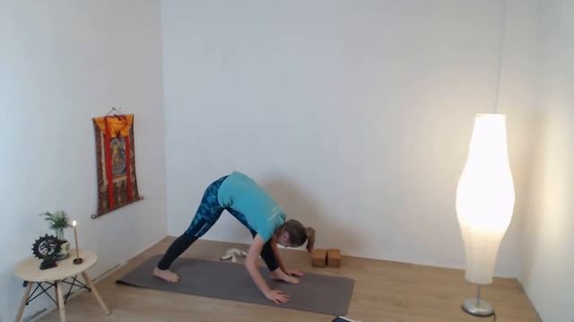 Хатха-йога 01.02.2020 смотреть онлайн