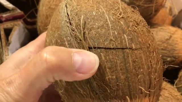 Как выбрать отличный кокос [How To Choose Good Coconut]
