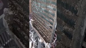 Осушители Ballu bd70t ремонт, устранение неисправностей, чистка