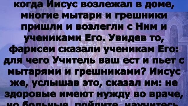 Включи прямо сейчас!  Евангелие дня 8 июля 2023 года